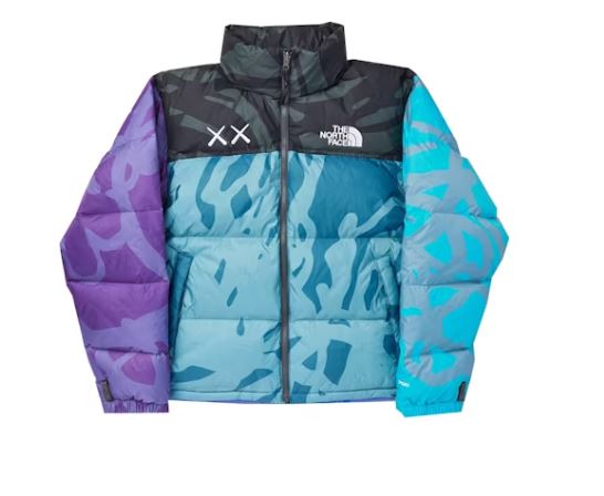 KAWS x The North Face Retro 1996 Jacket